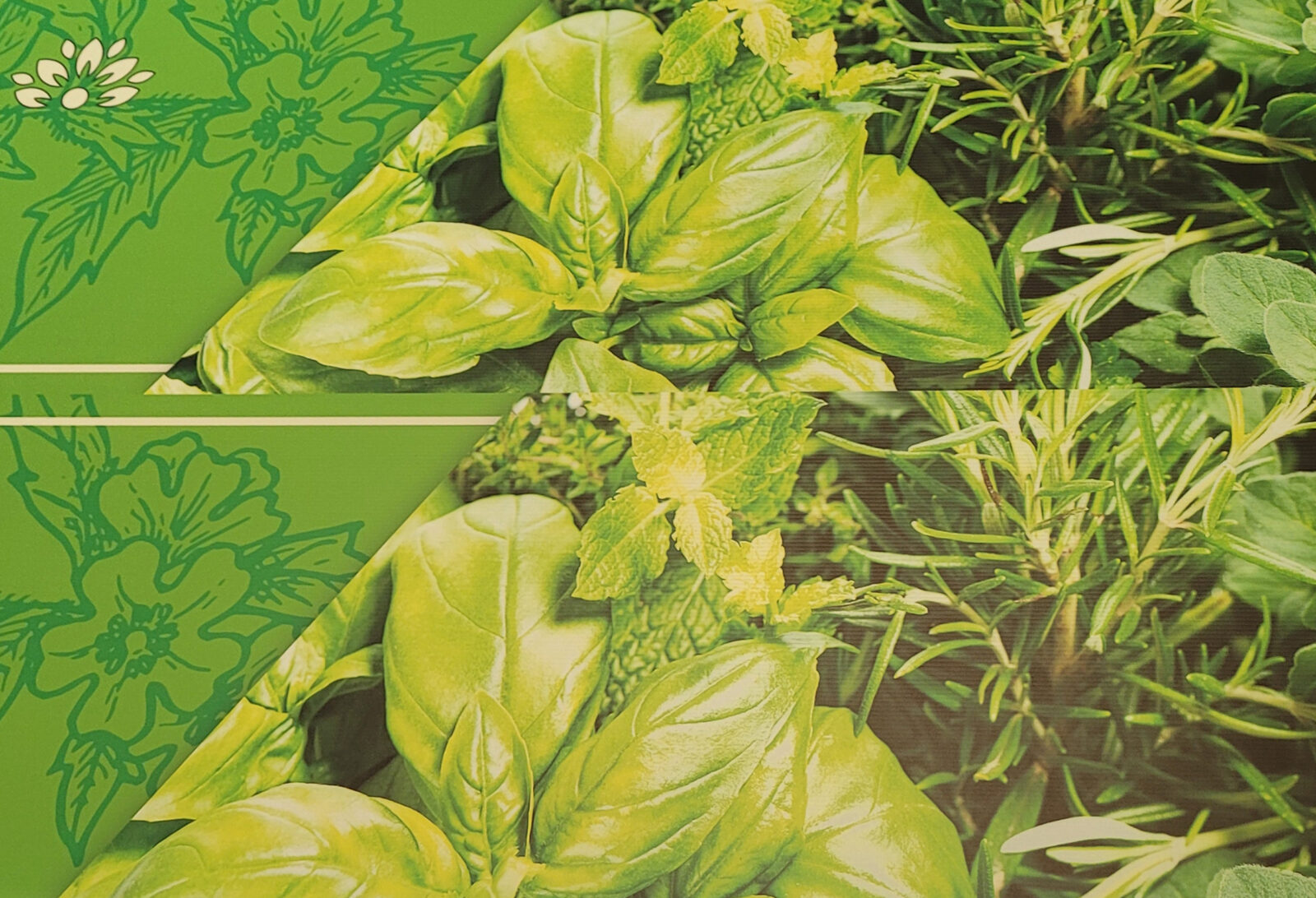 4mm Correx header board with a full colour print of various herbs