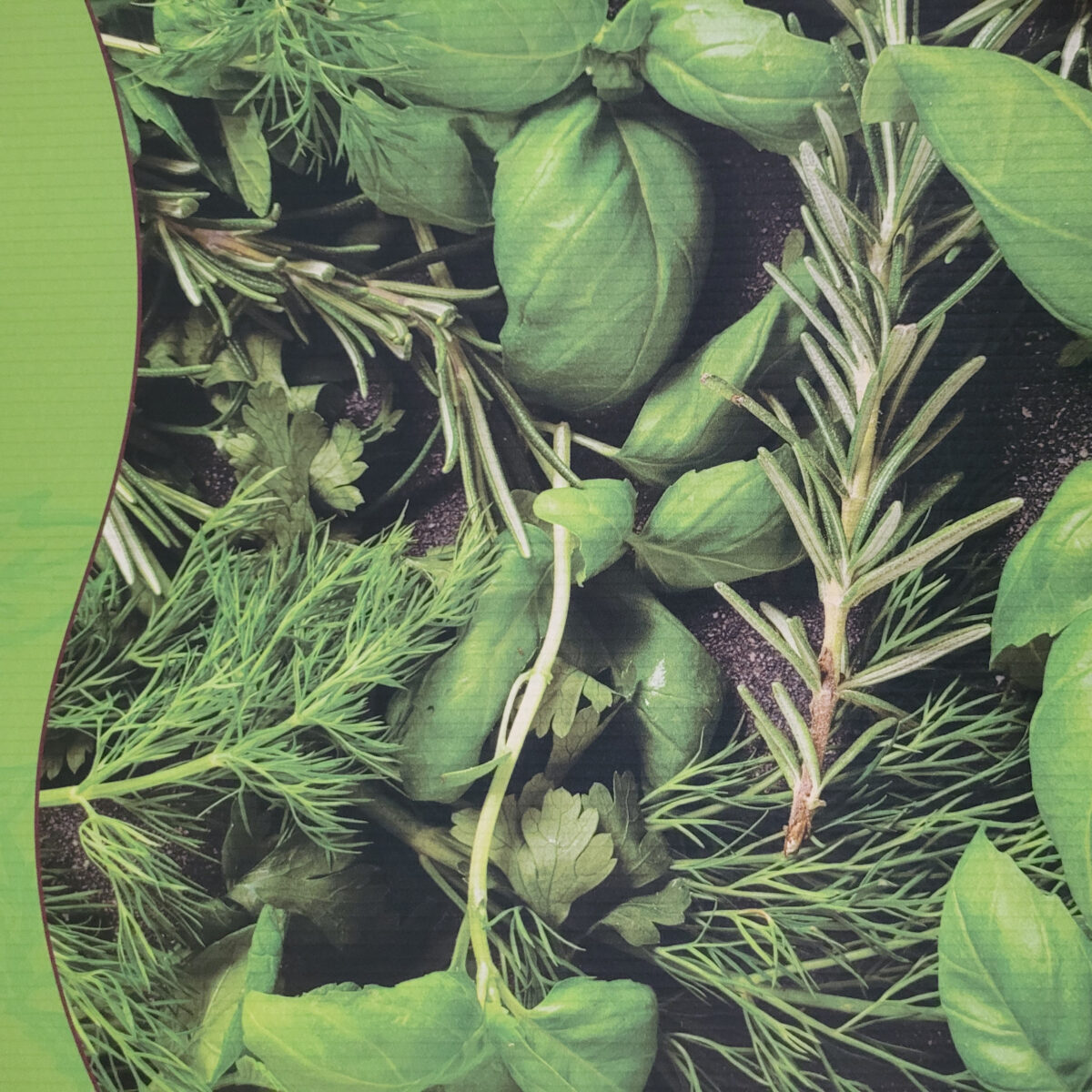 A 4mm correx print, showing a varied display of herbs