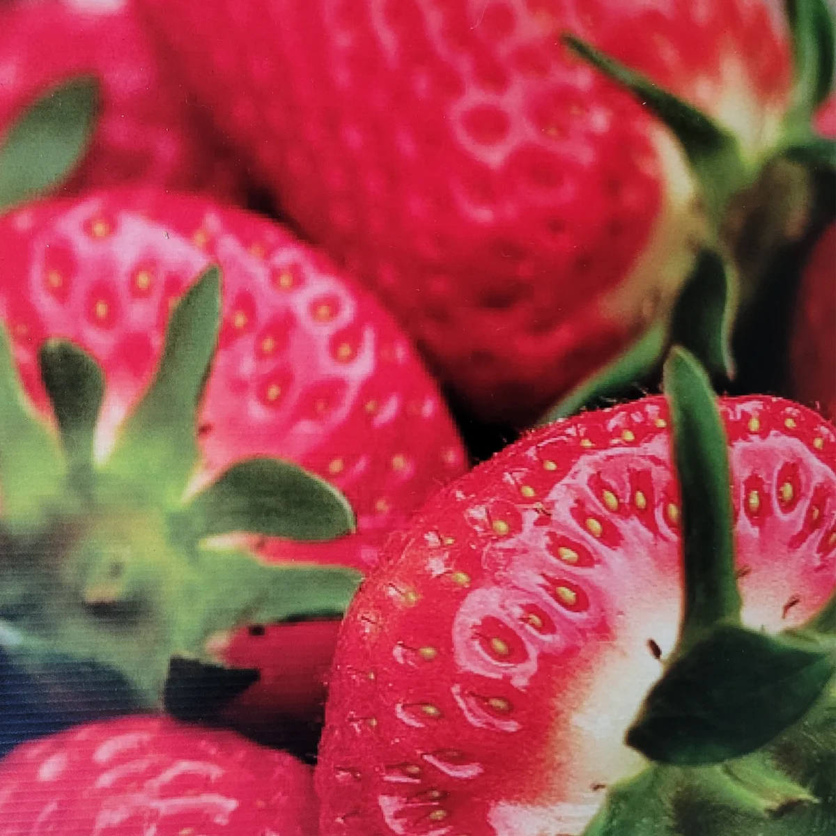 4mm correx, printed with a vibrant full colour image of strawberries